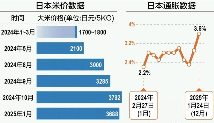 2025大米价格会涨还是跌？走势如何？-图3