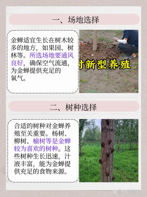 养殖金蝉利润高吗?技术难点有哪些?-图3 养殖金蝉利润高吗?技术难点有哪些?-图3