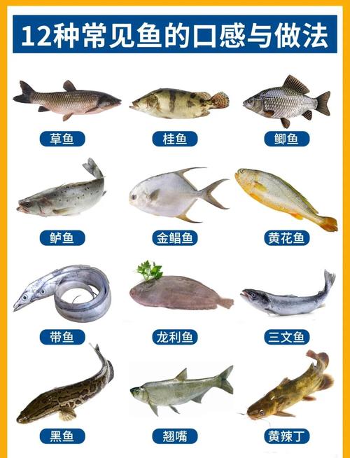 哪些淡水热带鱼能吃?-图1 哪些淡水热带鱼能吃?-图1