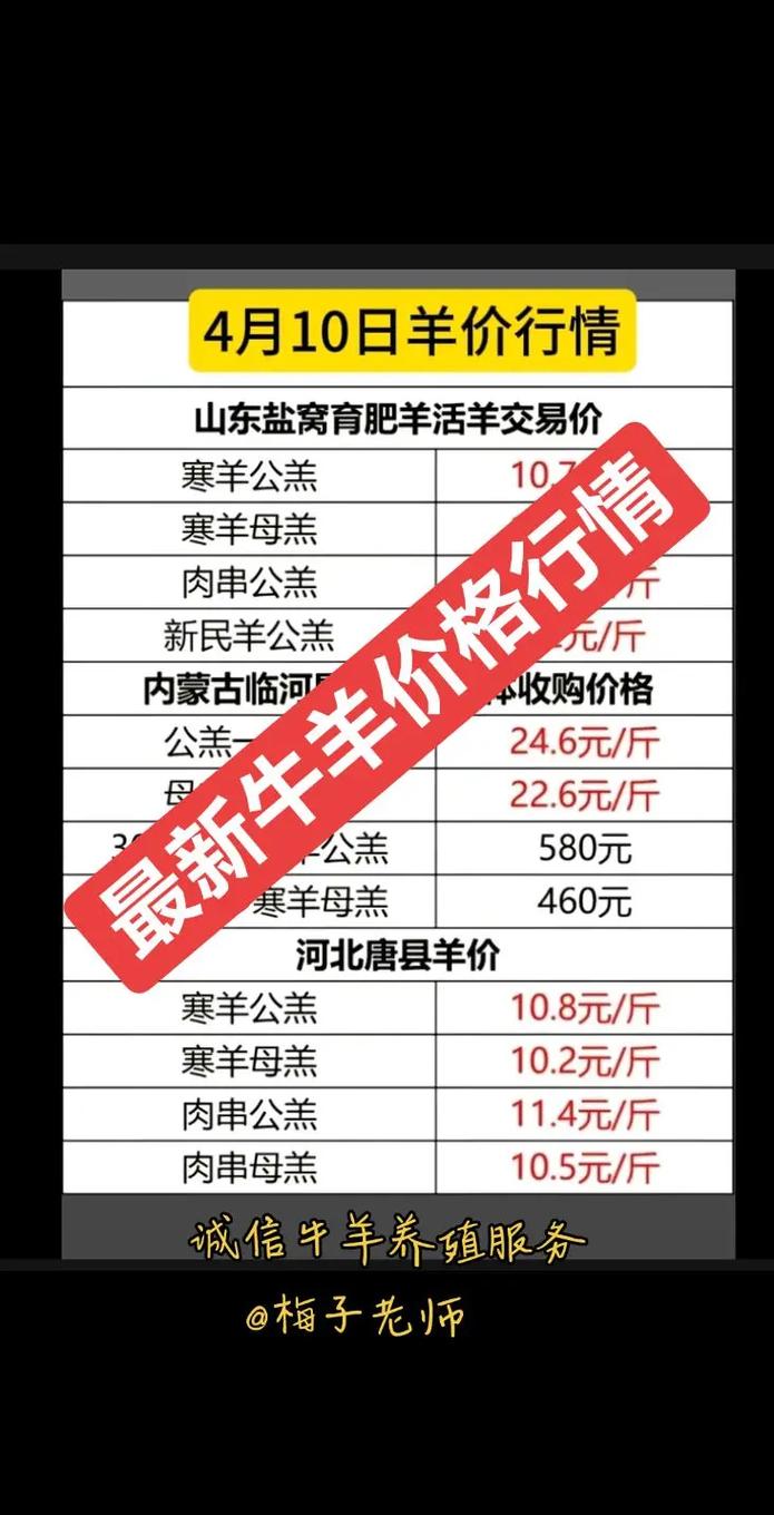 2025年羊肉价格会涨还是跌?-图2 2025年羊肉价格会涨还是跌?-图2