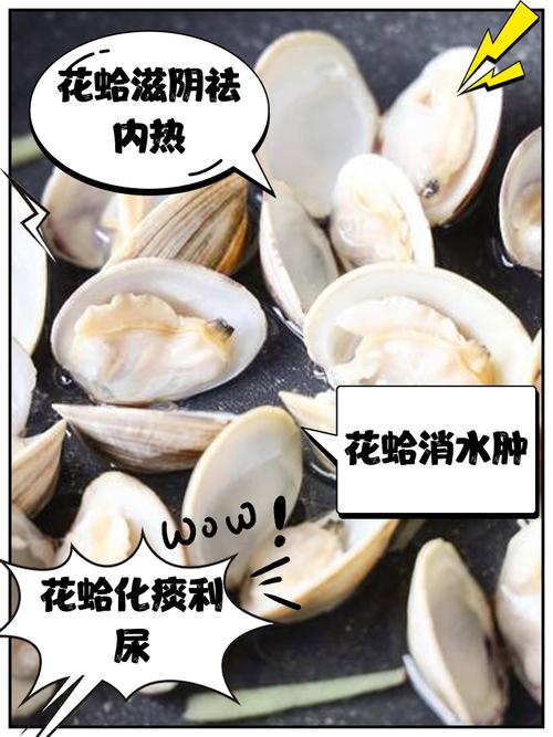 花蛤淡水养殖可行吗?技术难点在哪?-图2 花蛤淡水养殖可行吗?技术难点在哪?-图2