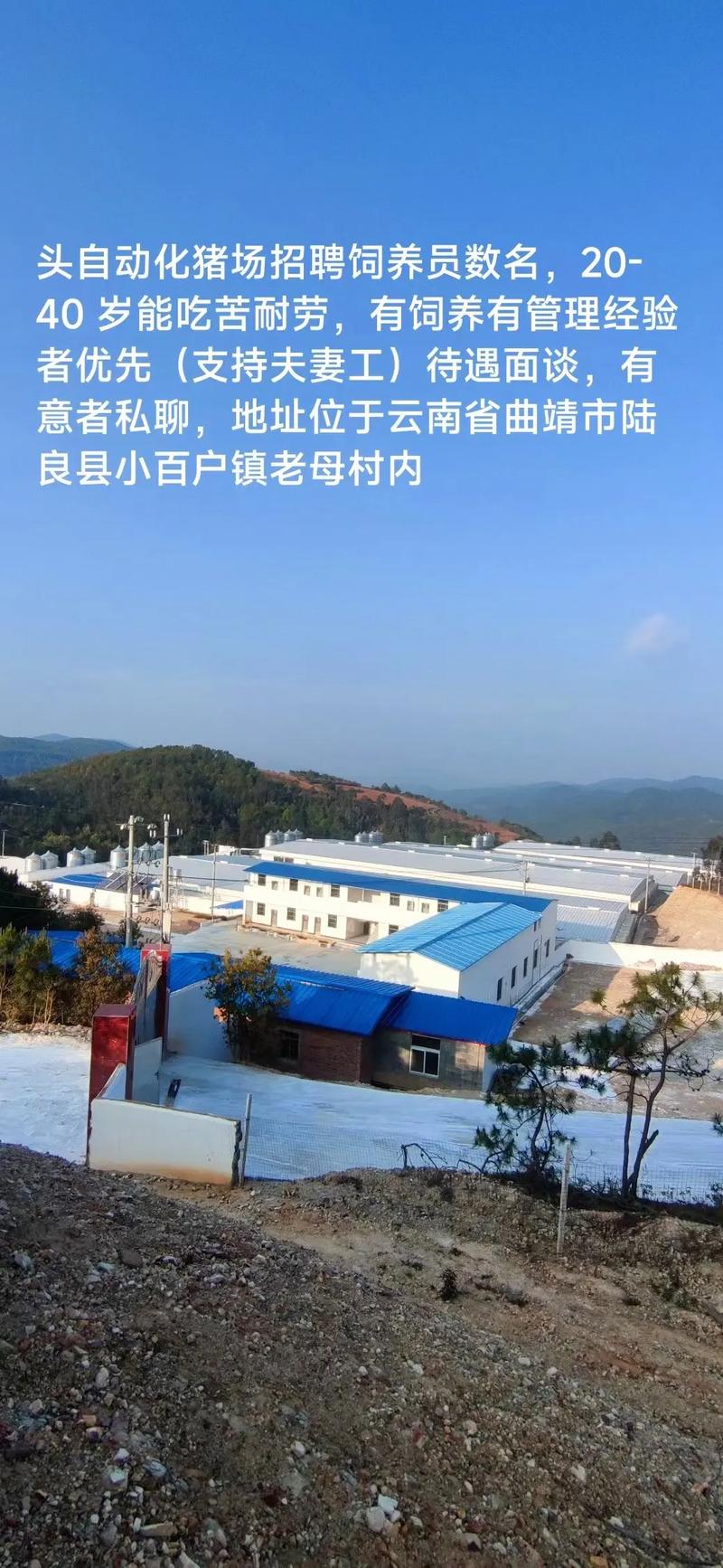 绵阳养殖技术岗招啥样？要求多少？-图1