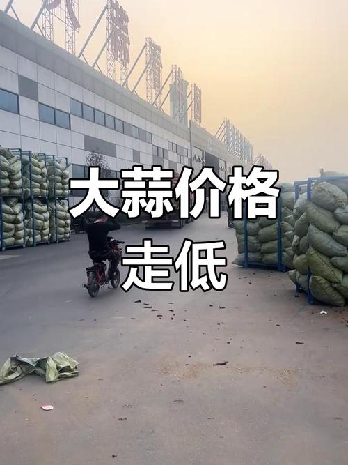 2025年大蒜价格会涨还是跌?-图3 2025年大蒜价格会涨还是跌?-图3