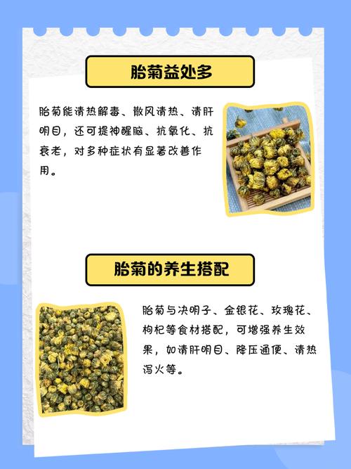 最新胎菊种植技术视频有何关键要点?-图1 最新胎菊种植技术视频有何关键要点?-图1