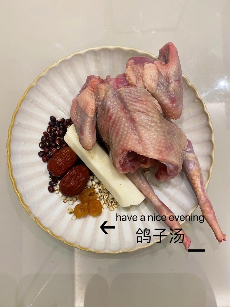 哪种鸽子品种术后最补?-图1 哪种鸽子品种术后最补?-图1