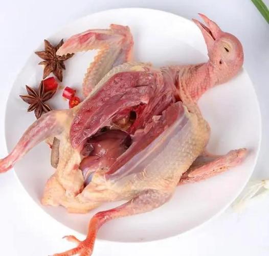 哪种鸽子品种术后最补?-图2 哪种鸽子品种术后最补?-图2