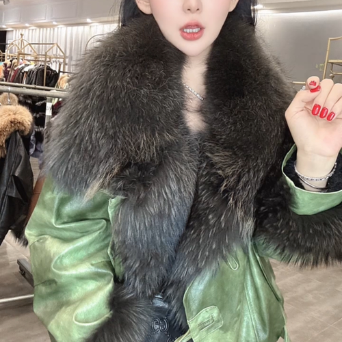 2025年貉皮价格会涨还是跌?-图3 2025年貉皮价格会涨还是跌?-图3