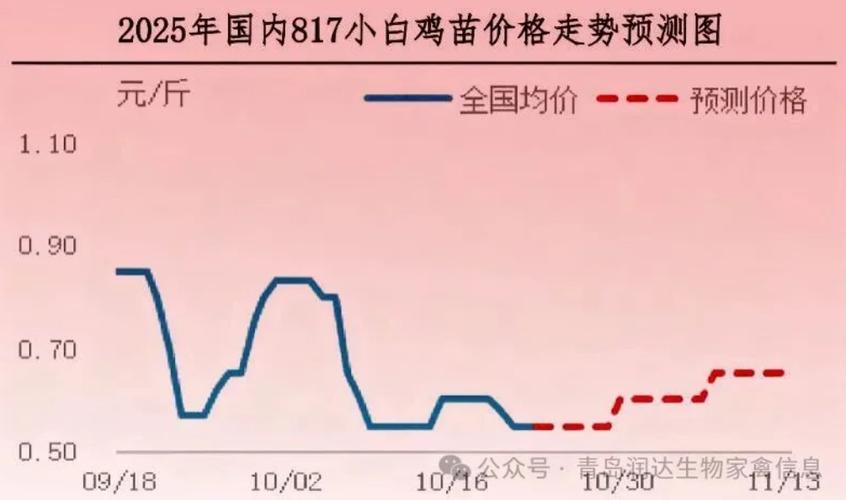 2025年鸡肉价格会涨还是跌？-图2