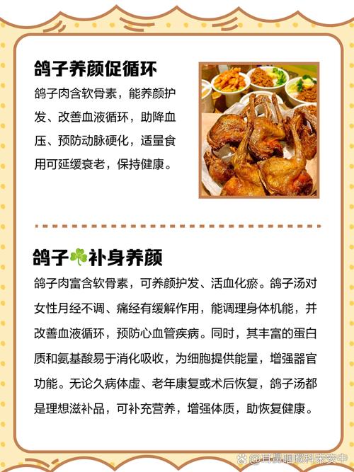 养鸽赚钱吗养什么品种-图3