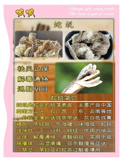 蛇毒提取贮存技术,如何高效安全?-图1 蛇毒提取贮存技术,如何高效安全?-图1