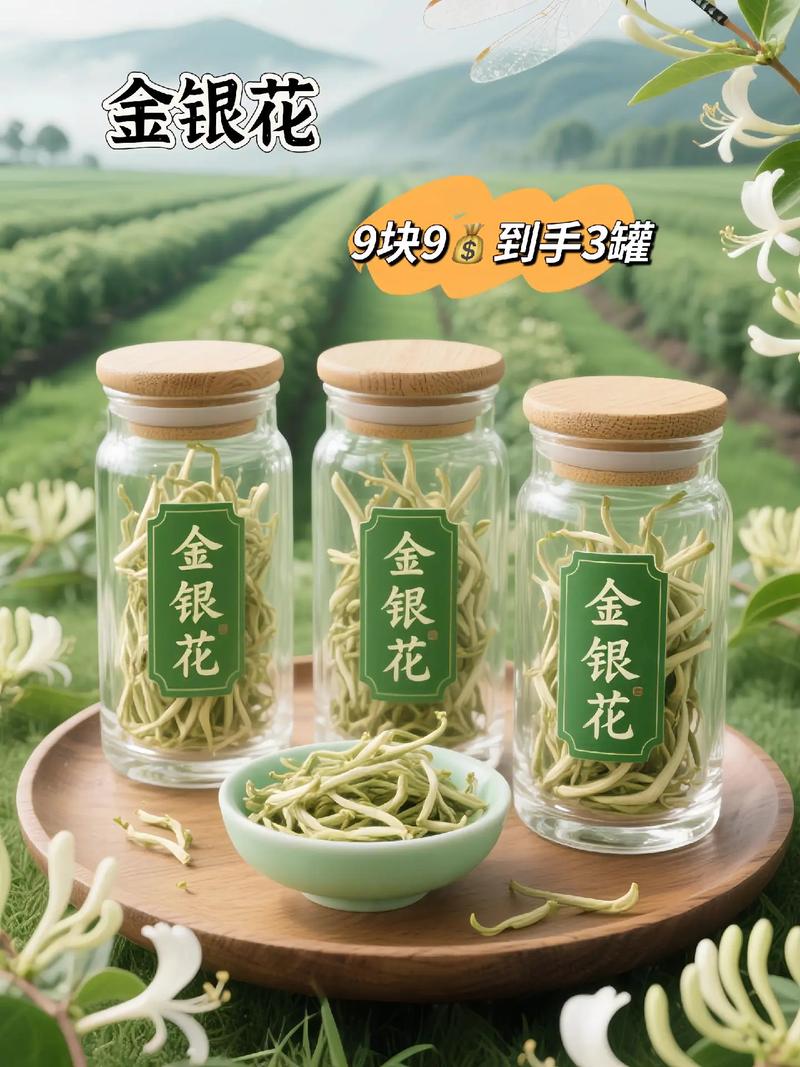 2025年金银花最新价格会涨还是跌?-图2 2025年金银花最新价格会涨还是跌?-图2