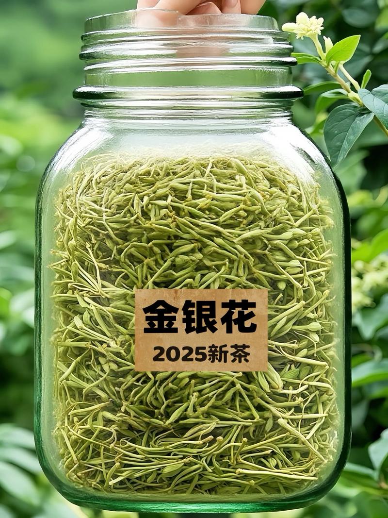 2025年金银花最新价格会涨还是跌?-图3 2025年金银花最新价格会涨还是跌?-图3