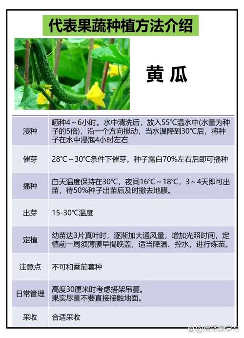 黄瓜的栽培及管理技术-图1