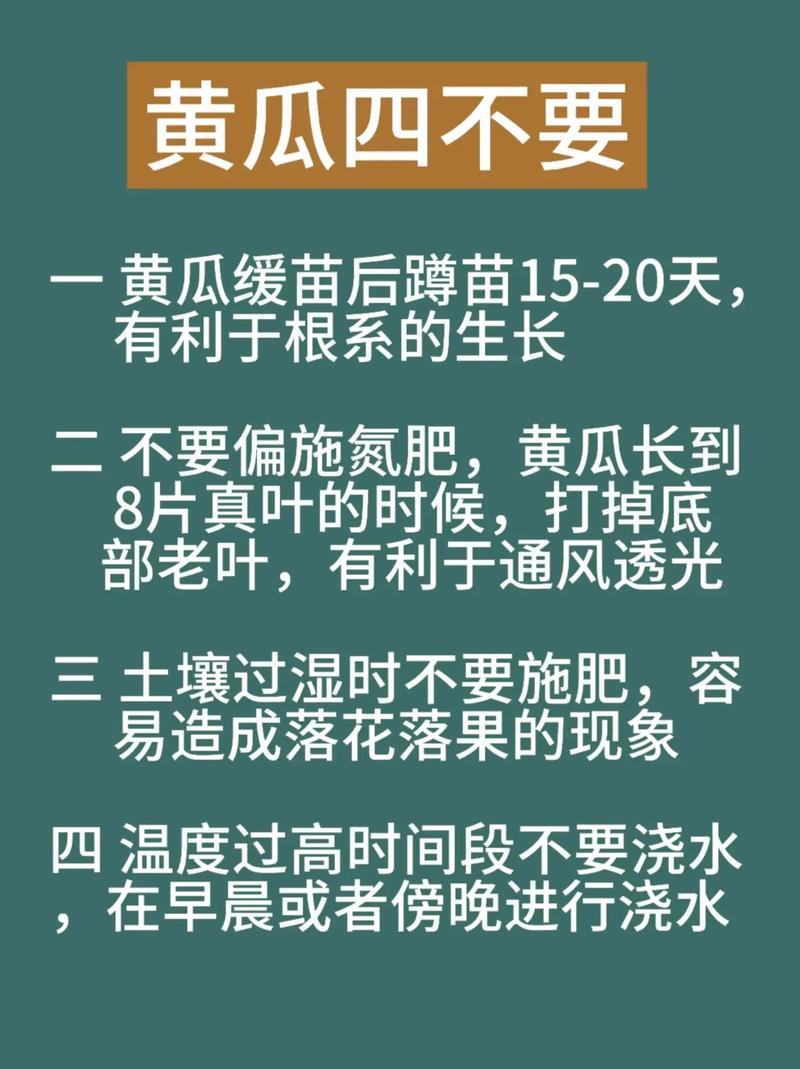 黄瓜的栽培及管理技术-图3