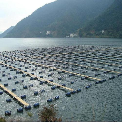 山东淡水网箱养殖技术-图2