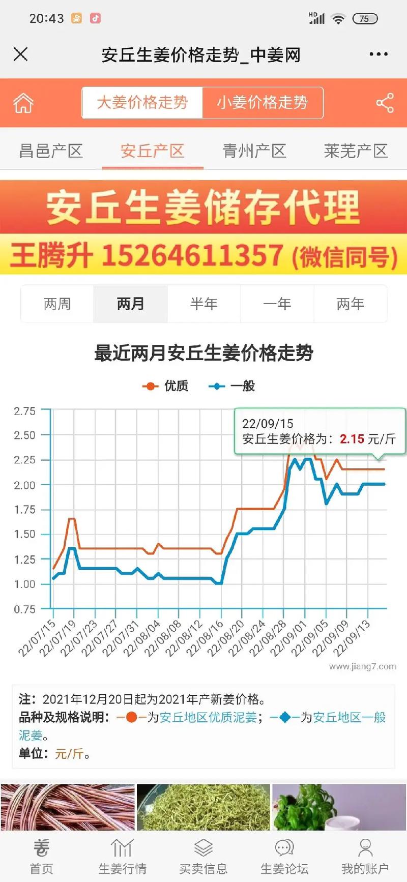2025年大姜价格会涨还是会跌？-图2
