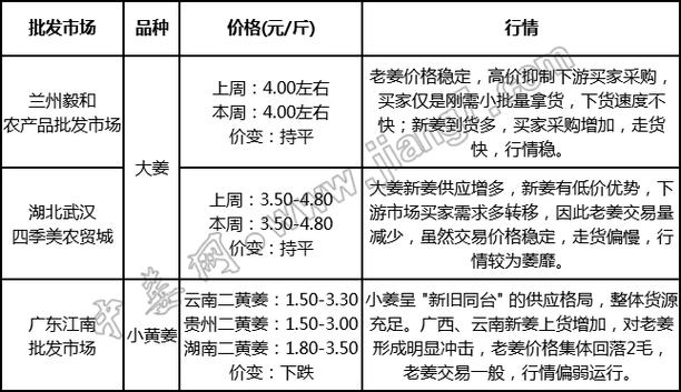 2025年大姜价格会涨还是会跌？-图1