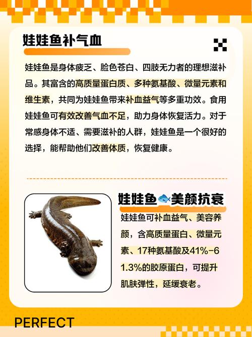 2025年野生娃娃鱼价格会涨还是跌？-图3