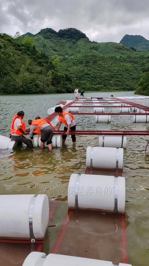 钢管网箱养鱼技术视频-图3