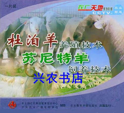 繁殖羊的饲养管理技术-图2 繁殖羊的饲养管理技术-图2