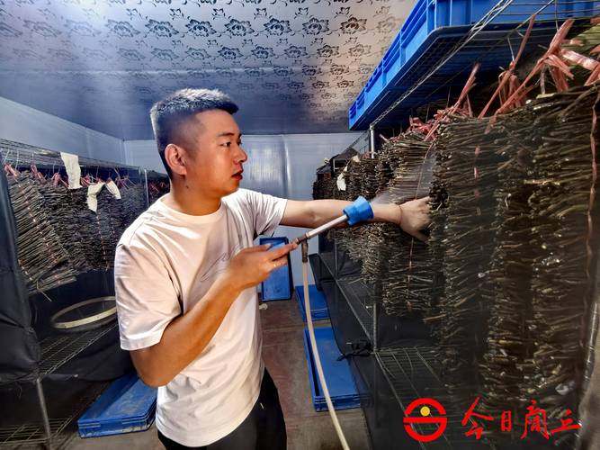 河南金蝉养殖技术培训,新手能学会吗?-图2 河南金蝉养殖技术培训,新手能学会吗?-图2