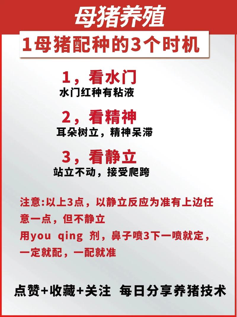 养猪技术去哪学最靠谱?-图3 养猪技术去哪学最靠谱?-图3