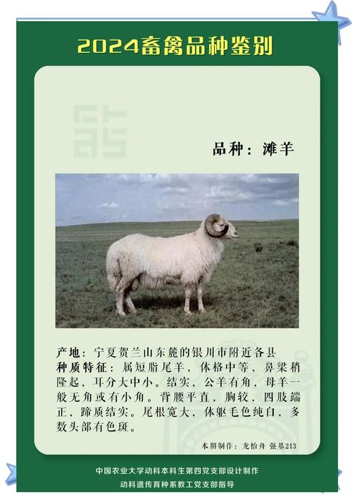 湖南著名地方品种羊有哪些特色?-图1 湖南著名地方品种羊有哪些特色?-图1
