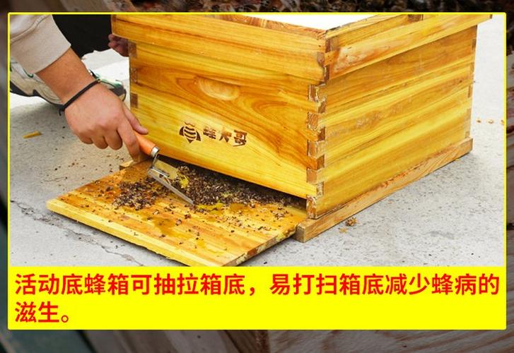 蜂箱煮蜡技术视频,如何高效煮取蜂蜡?-图2 蜂箱煮蜡技术视频,如何高效煮取蜂蜡?-图2