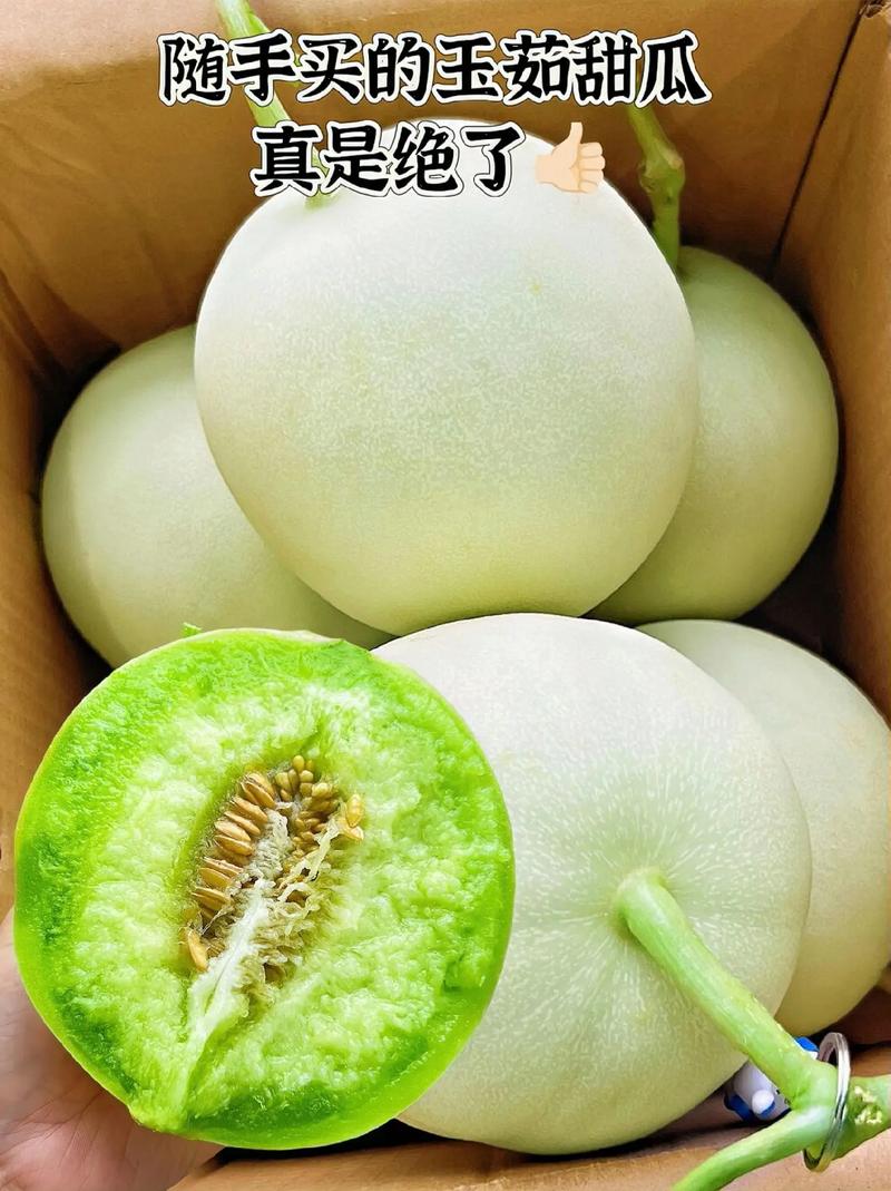 最新甜瓜品种是哪个？-图3