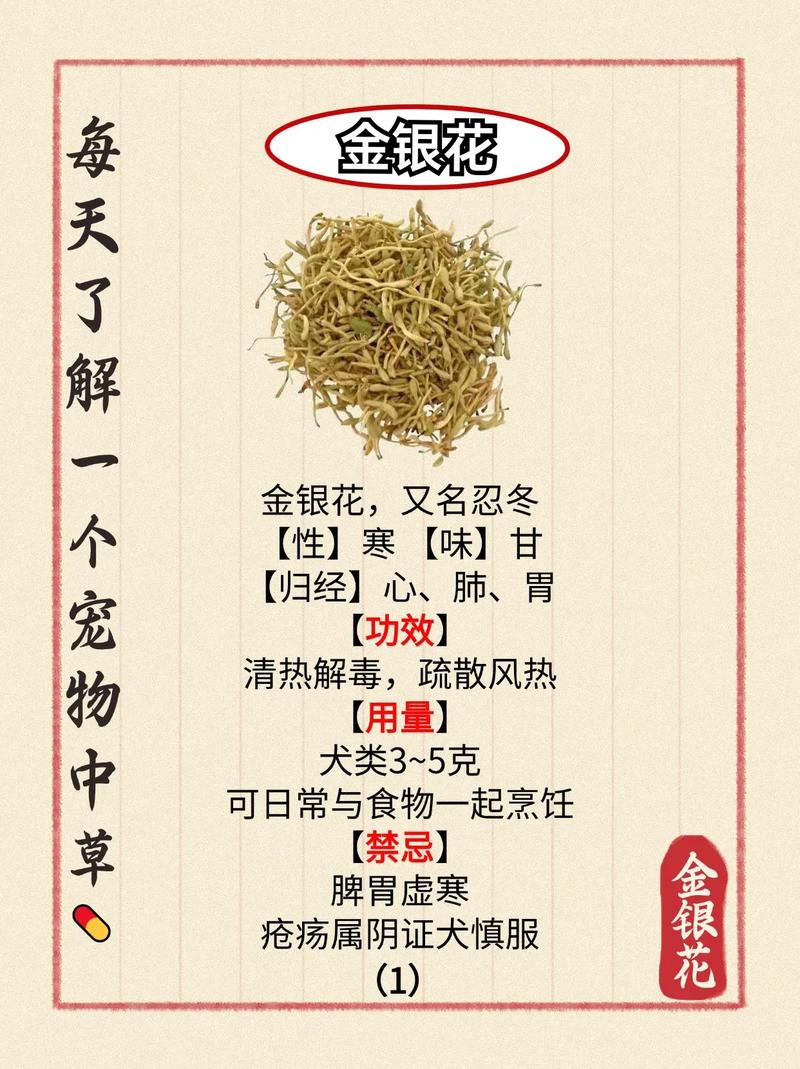 哪种金银花品种功效最好?-图1 哪种金银花品种功效最好?-图1