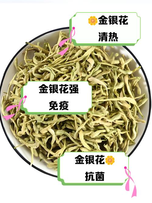 哪种金银花品种功效最好?-图3 哪种金银花品种功效最好?-图3
