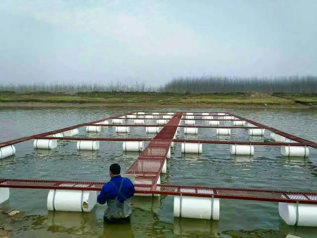 安徽网箱养殖技术培训,如何提升养殖效益?-图2 安徽网箱养殖技术培训,如何提升养殖效益?-图2