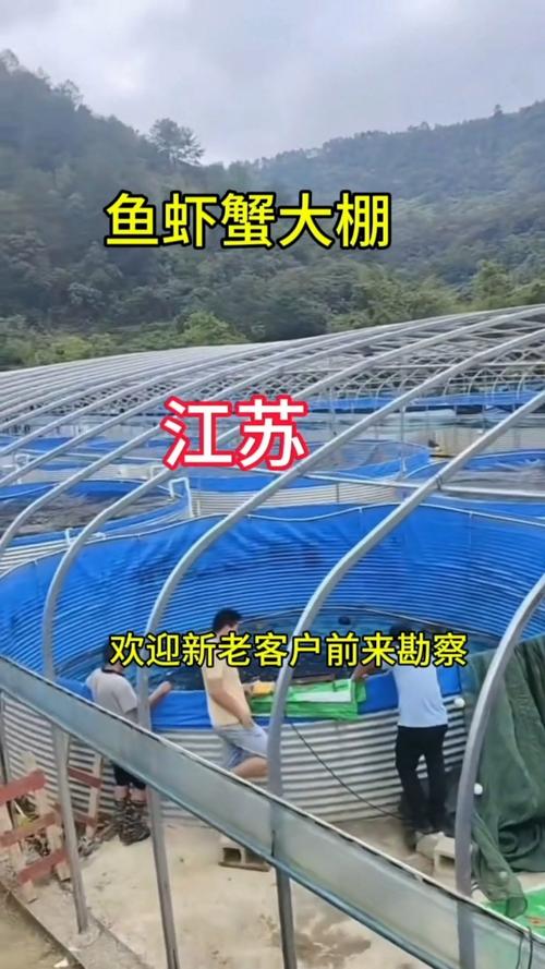 大棚暂养螃蟹越冬剩蟹技术,如何提高成活率与品质?-图3 大棚暂养螃蟹越冬剩蟹技术,如何提高成活率与品质?-图3