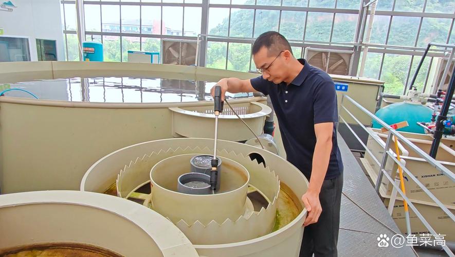 水产活饵料培育新技术有哪些突破点？如何提升培育效率与饵料营养价值？-图3