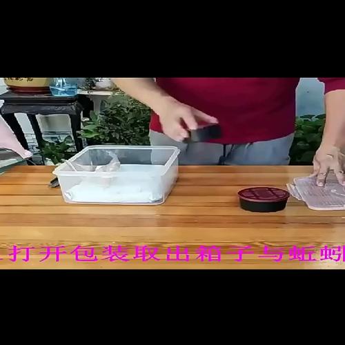 蚯蚓箱养殖技术如何高效操作？不同规模下的经济效益与风险点有哪些？-图2