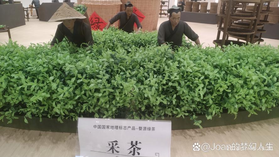 农广天地茶叶种植技术详解，从选种到加工有哪些关键步骤能提升产量与品质？-图1