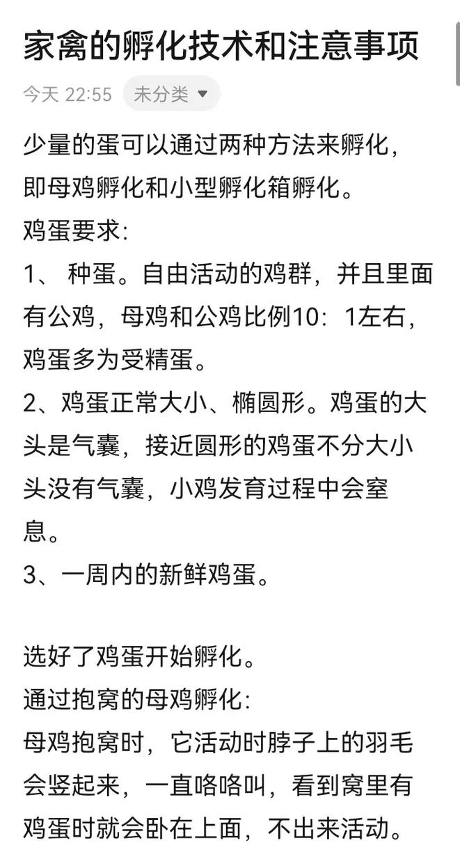 蛋鸡孵化技术指导视频能解决哪些实际孵化难题?温度湿度调控、翻蛋频率等关键操作如何精准把握?-图1 蛋鸡孵化技术指导视频能解决哪些实际孵化难题?温度湿度调控、翻蛋频率等关键操作如何精准把握?-图1