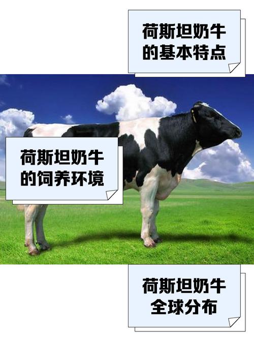 奶牛养殖技术手机软件能否精准解决牧场实际养殖难题？-图3