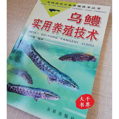 黑鱼养殖技术有哪些关键要点？如何提高成活率和养殖效益？-图2