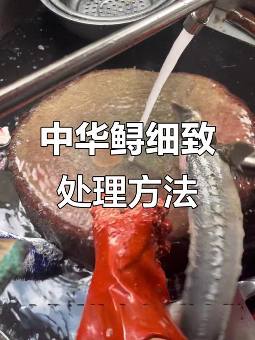 鲟鱼养殖的关键技术难点与高效管理方法有哪些？-图3