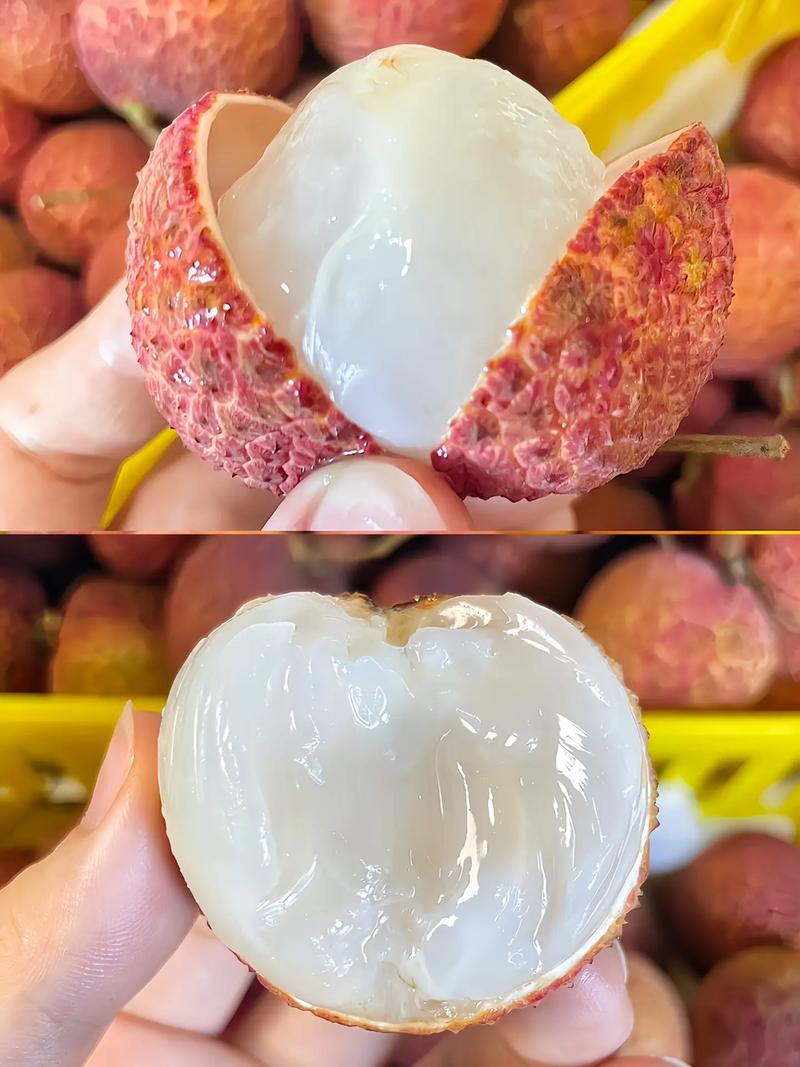 无籽荔枝是什么品种培育的?它和普通荔枝有何区别?-图2 无籽荔枝是什么品种培育的?它和普通荔枝有何区别?-图2