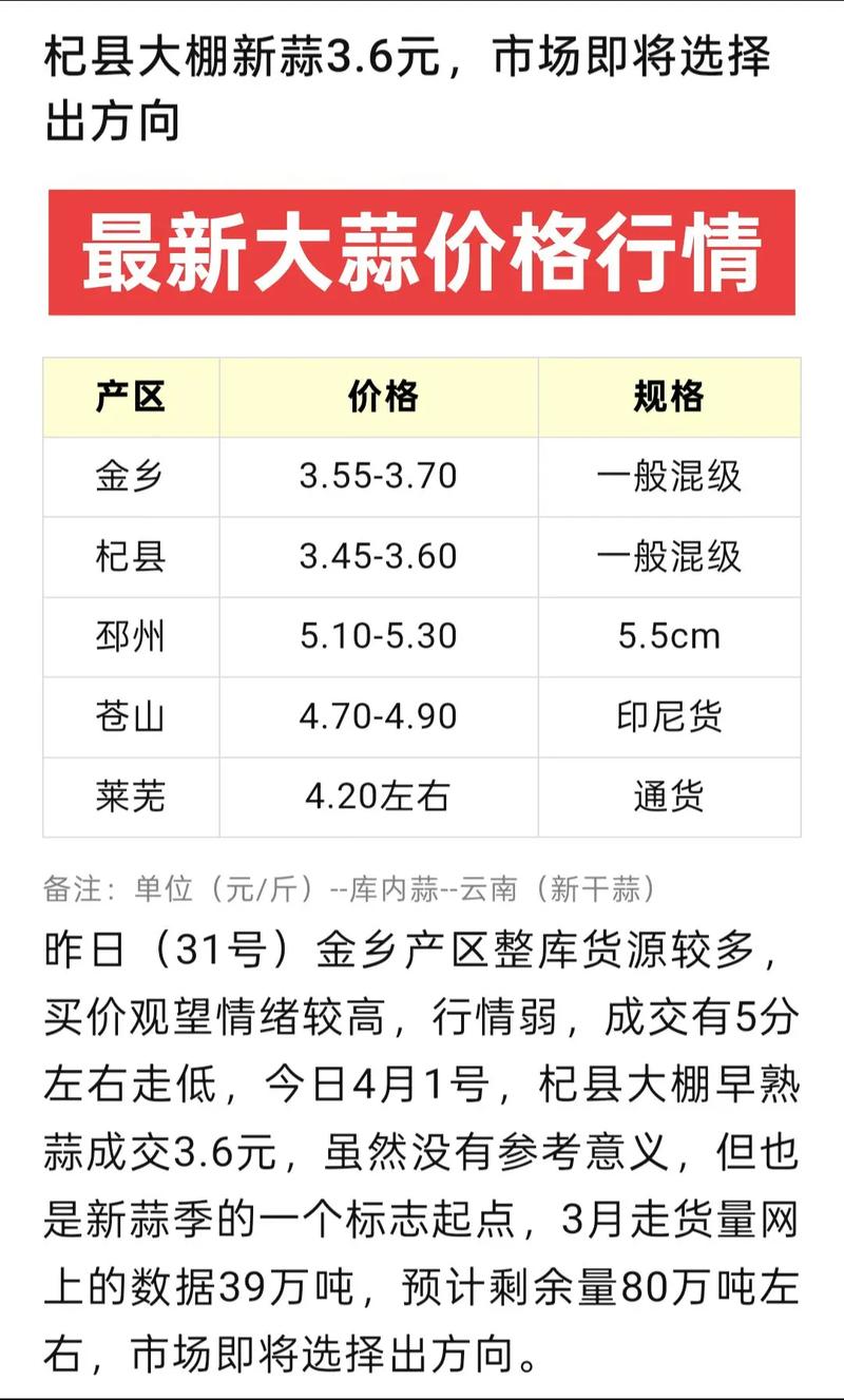 2025年大蒜价格会涨还是跌？哪些因素将主导市场走势？-图1