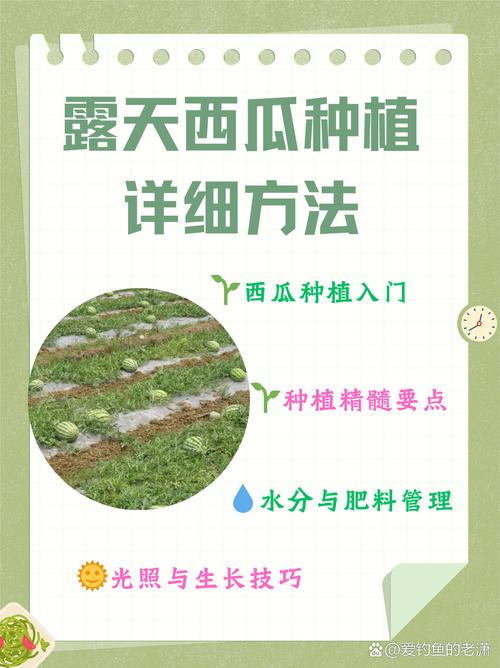 西瓜全套栽培技术视频，从选种到收获，每个环节的关键点都讲透了吗？-图3
