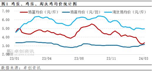 当前淘汰鸡价格行情将如何波动?养殖户该如何应对市场变化以保障收益?-图3 当前淘汰鸡价格行情将如何波动?养殖户该如何应对市场变化以保障收益?-图3