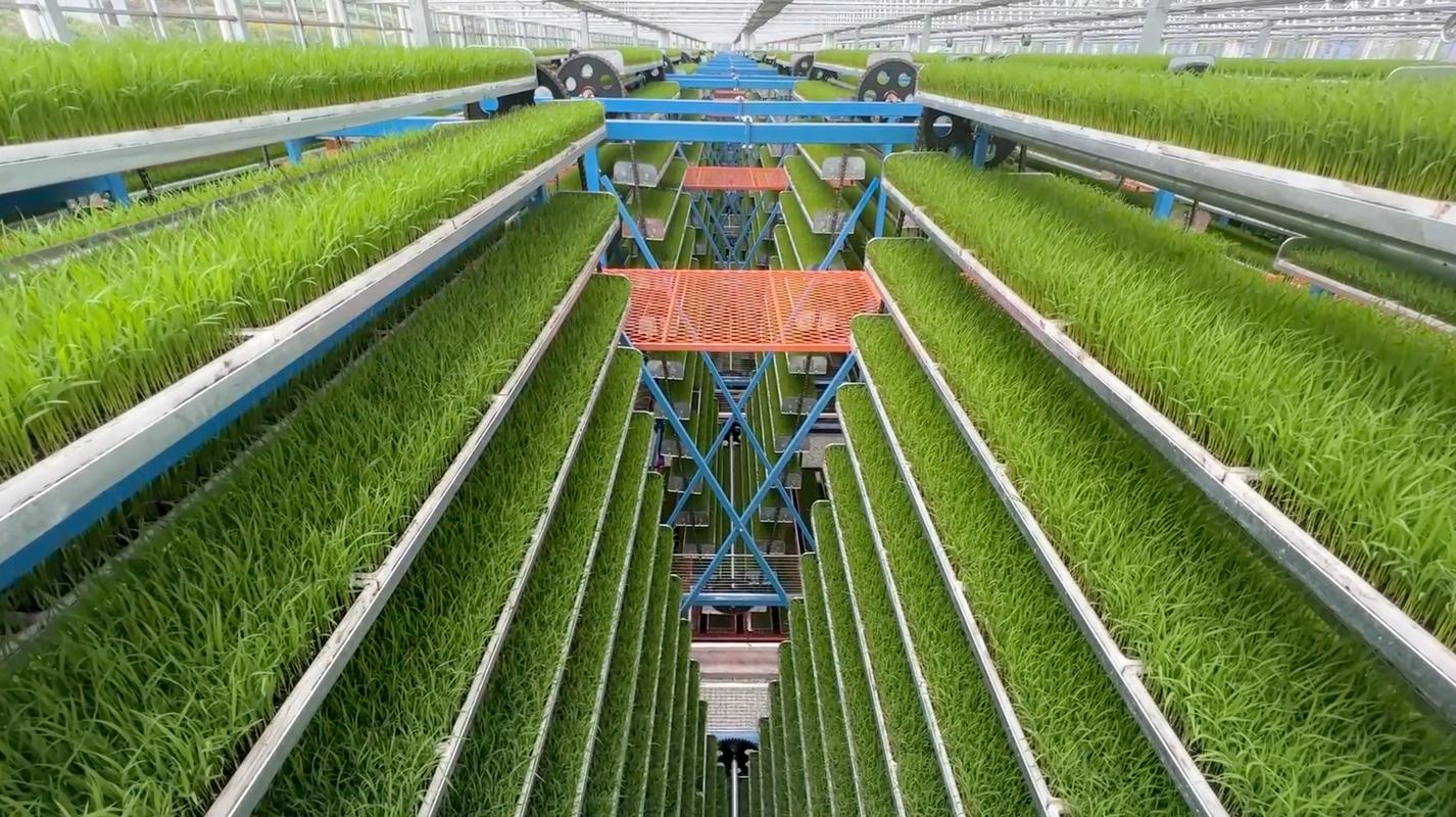 农业科技如何革新种植养殖技术？智能化与绿色化融合能否破解传统农业瓶颈？-图3