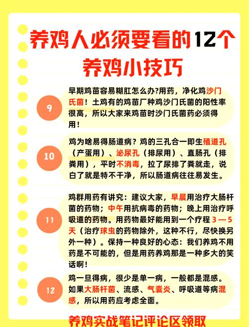 养鸡技术教学视频教程-图1 养鸡技术教学视频教程-图1