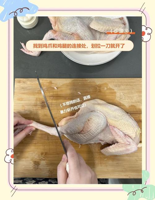 养鸡技术教学视频教程-图2