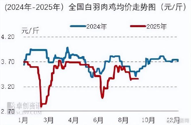 2025年7月肉鸡价格会受哪些因素影响,走势会如何变化?-图2 2025年7月肉鸡价格会受哪些因素影响,走势会如何变化?-图2