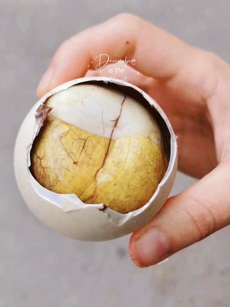 种鹅蛋恒温孵化技术中,如何精准调控温湿度以提高孵化率并降低雏鹅畸形率?-图1 种鹅蛋恒温孵化技术中,如何精准调控温湿度以提高孵化率并降低雏鹅畸形率?-图1