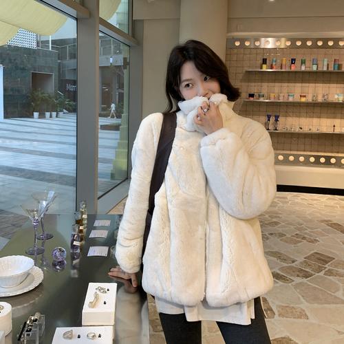 2025年獭兔价格会涨还是跌？-图3